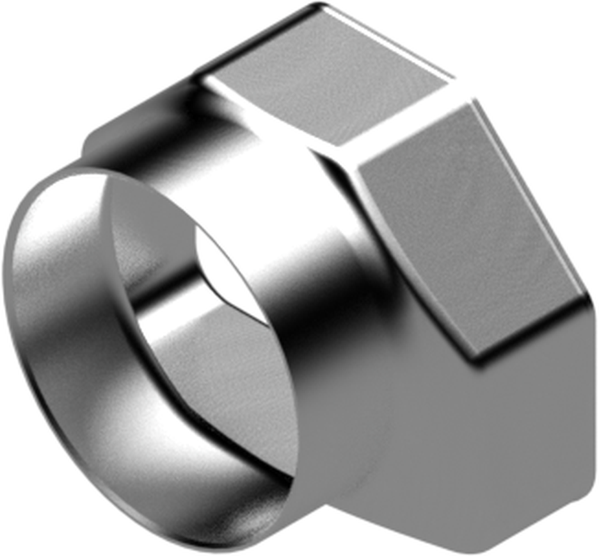 Ferrule