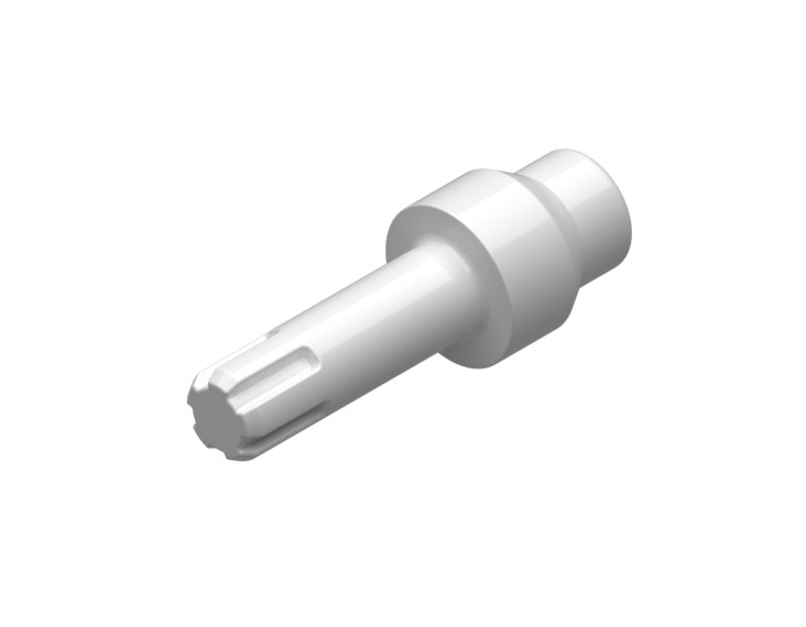 Cavity Plug